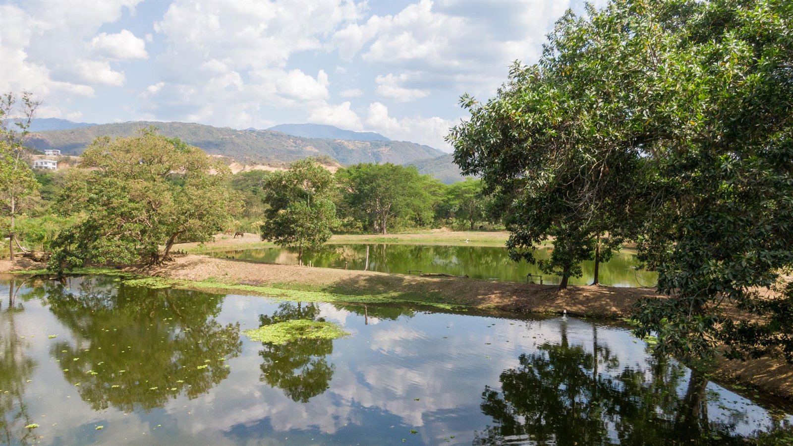 Lago rodeado de vegetación y montañas cerca del proyecto